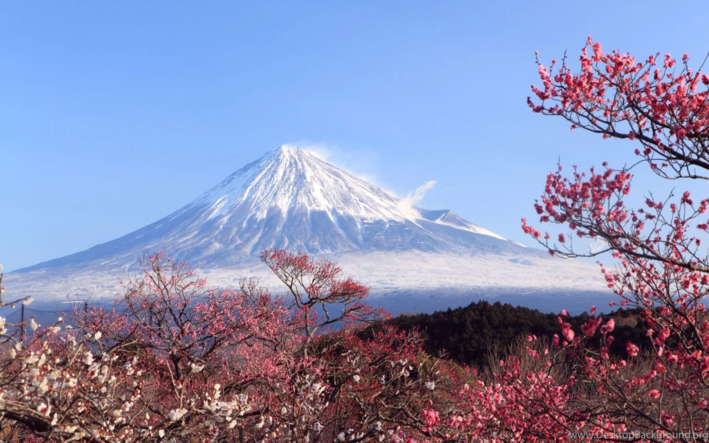 Japan Mount Fuji Wallpapers