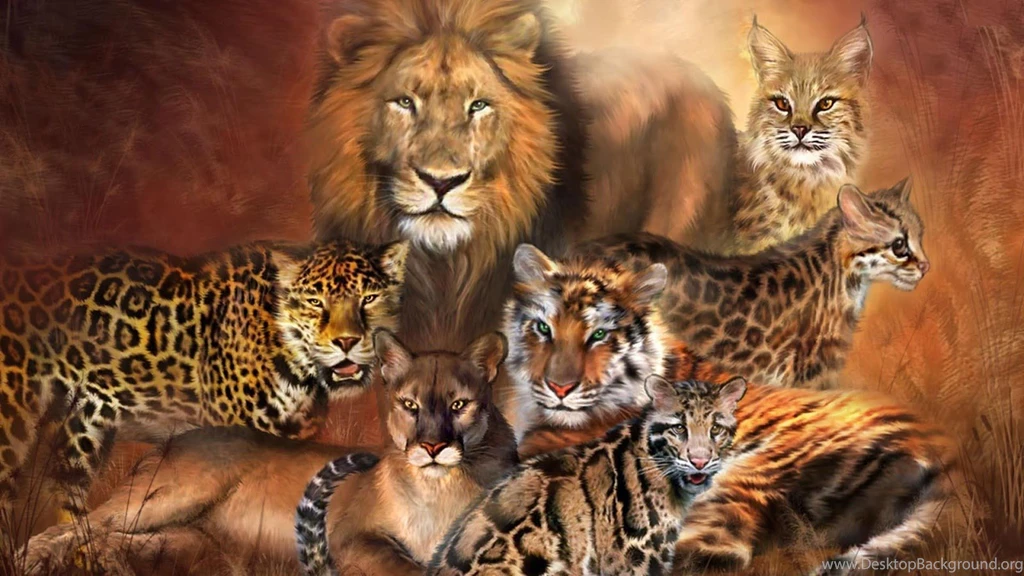 Tiger Versus Lion Wallpapers   Android Apps On Google Play