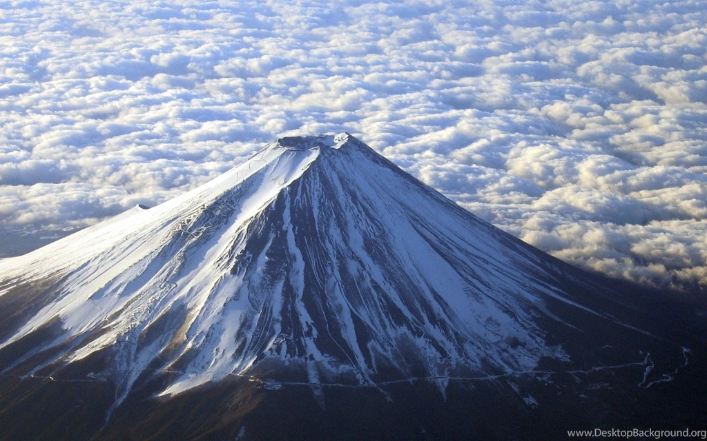 Adorable Baby Animal Wallpapers