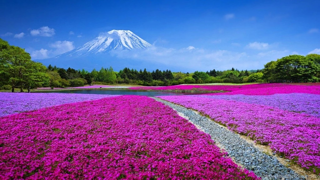 Mount Fuji Wallpapers Themes