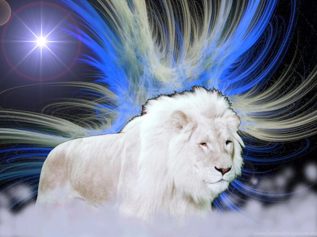 Lion Hd Wallpapers 019