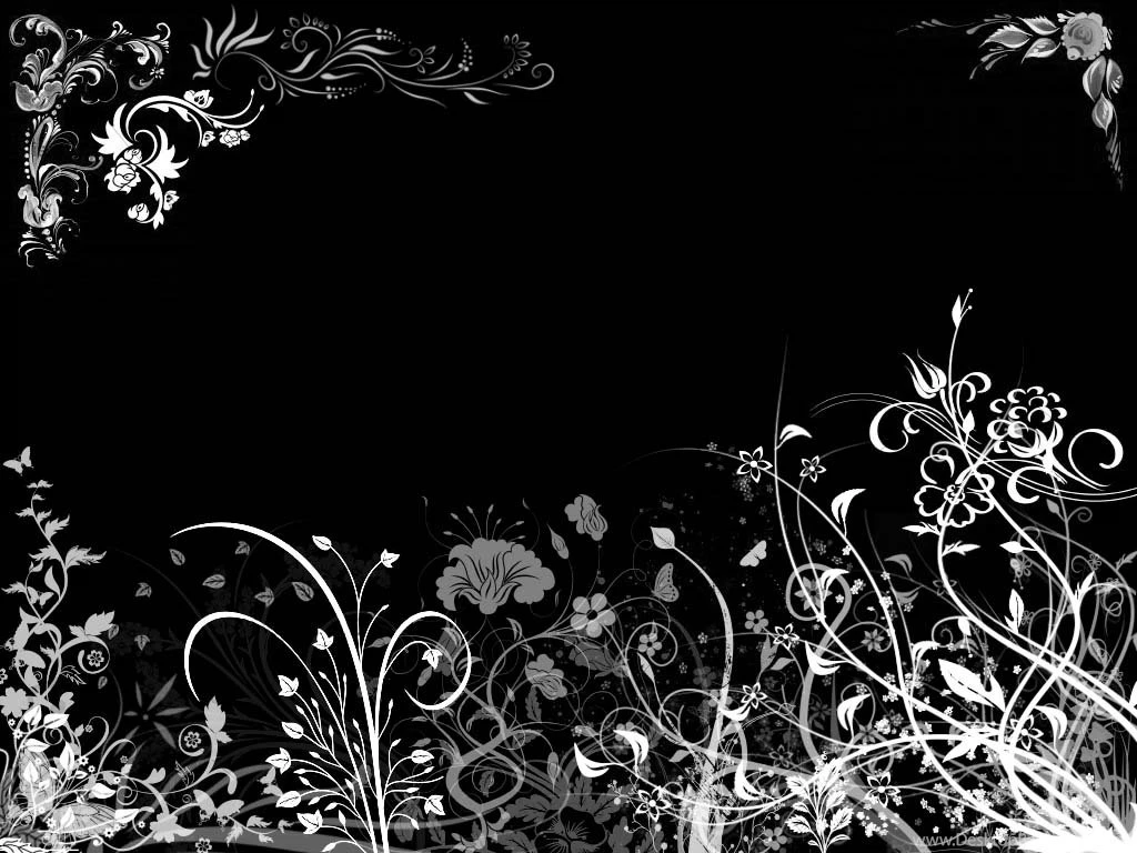 Black Flower Wallpapers   ImgMob