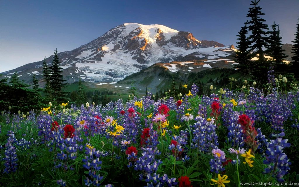 Attractive Mountains Wallpapers