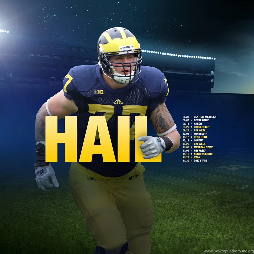 HAIL, Part 3 – 2013 Season – Michigan Football Fan Art