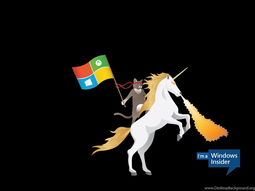Official Windows 10 Ninjacat Wallpapers   Surprise!