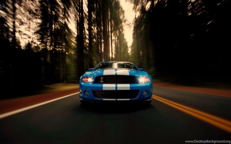 Cars Ford Mustang 1920x1200 Wallpapers – Cars Ford HD Desktop Wallpapers