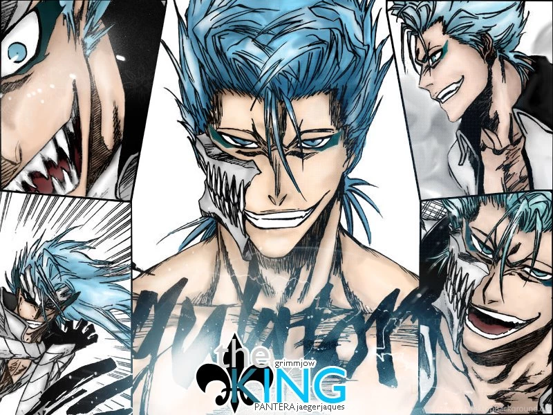 Grimmjow Wallpapers By KamuyAriela On DeviantArt