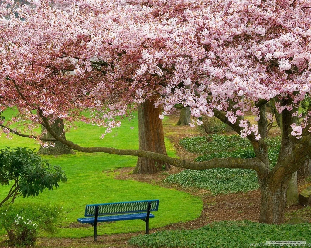 Natural Wallpapers
