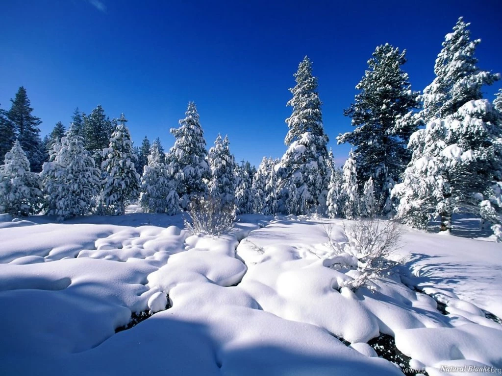 Natural Wallpapers 2012