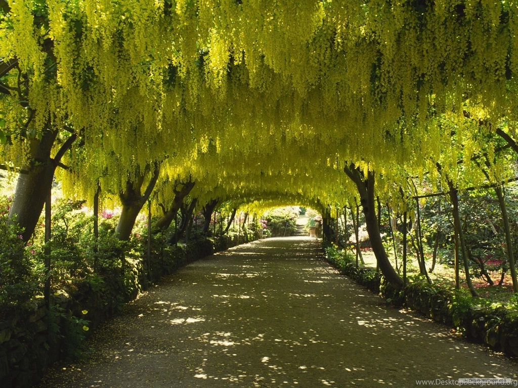 15269d1221215468 Nature Wallpapers Natural Scenery 7677