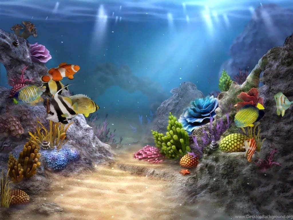 Under Sea Wallpapers Full HD
