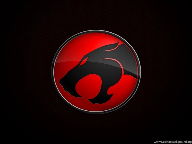 Wallpapers Thundercat Thundercats Logotipo 800x600