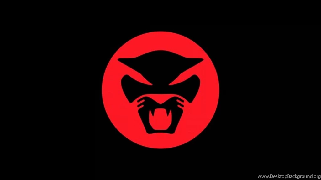 Thundercat Boat Cruise YouTube
