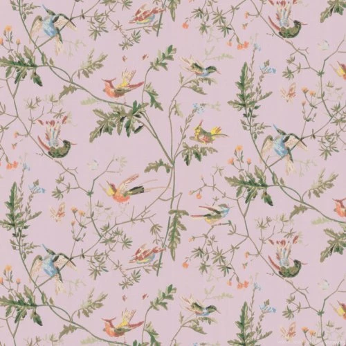 DecoratorsBest Bird Wallpapers