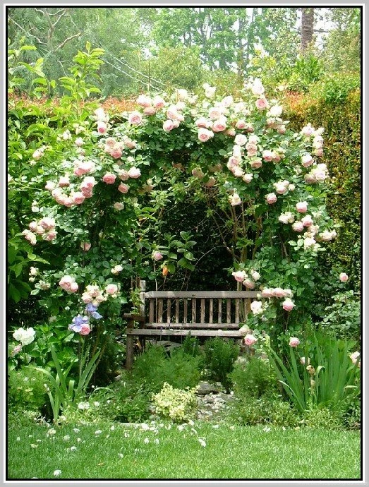 Pierre Deux Wallpapers