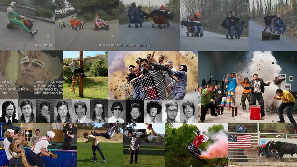 Jackass Wallpapers By Harvy355 On DeviantArt