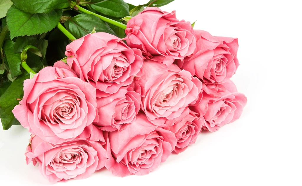 Pink Roses Bouquet Wallpapers Full HD Ndemok.com