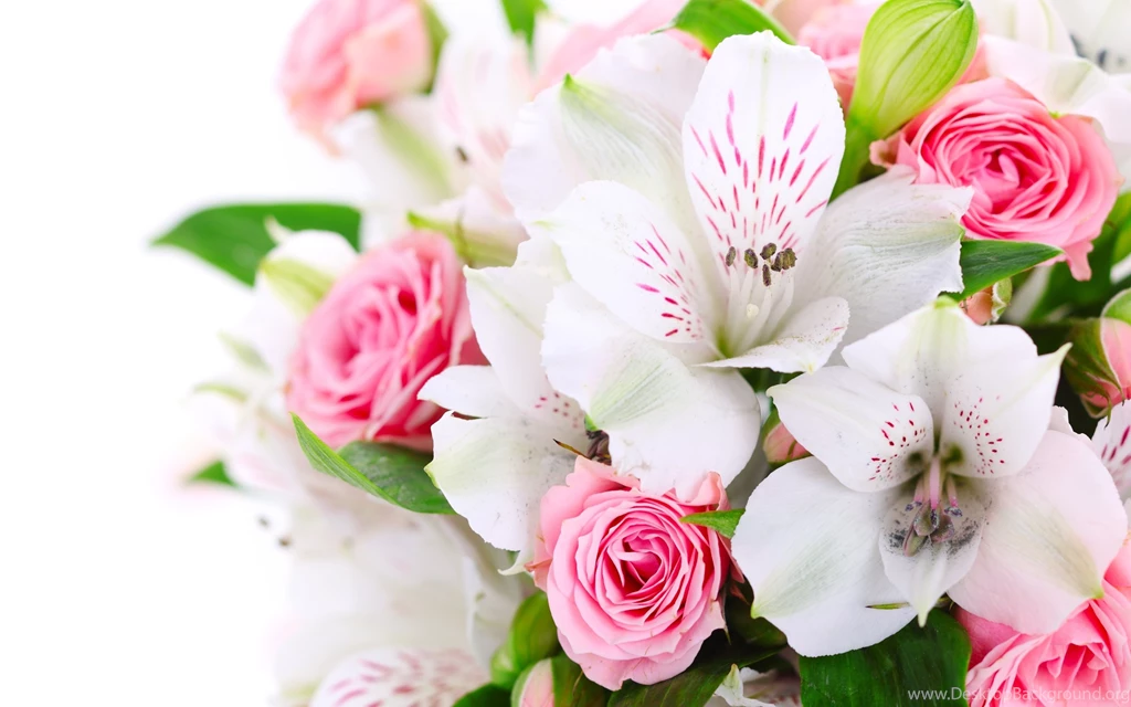 Pink Roses And Orchids Bouquet Uhd Wallpapers Ultra High ...