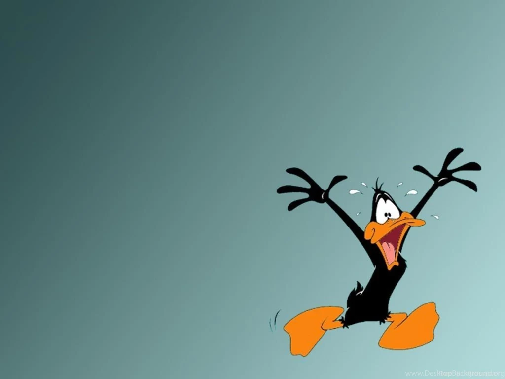 Funny Happy Daffy Duck Cartoon Wallpapers Anima