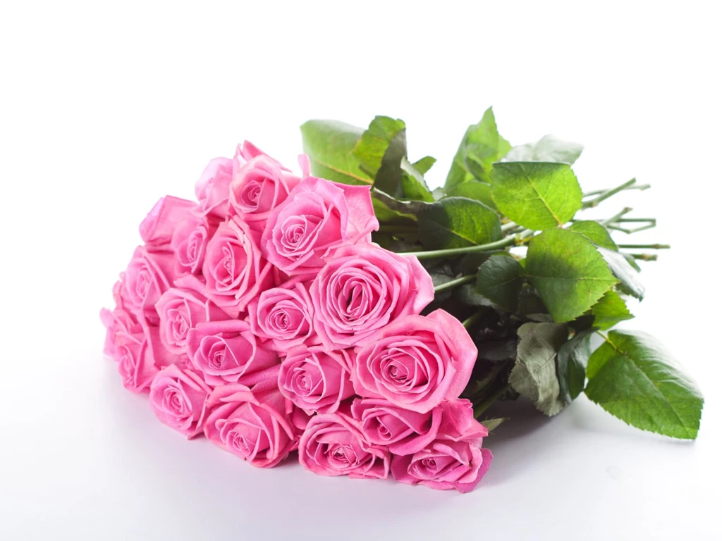 Pink Roses Desktop Backgrounds Wallpaper, High Definition, High ...
