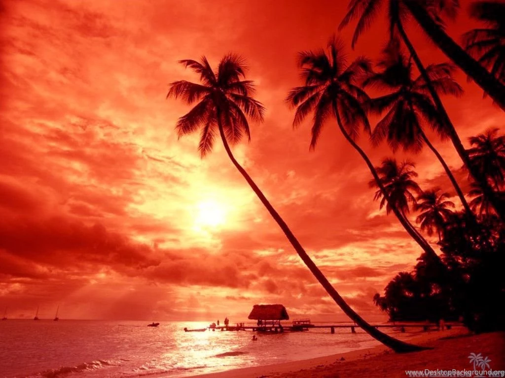 Fascinating And Beautiful Sunset Wallpapers