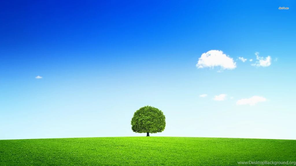 Tree Wallpapers – AB Wallpapers