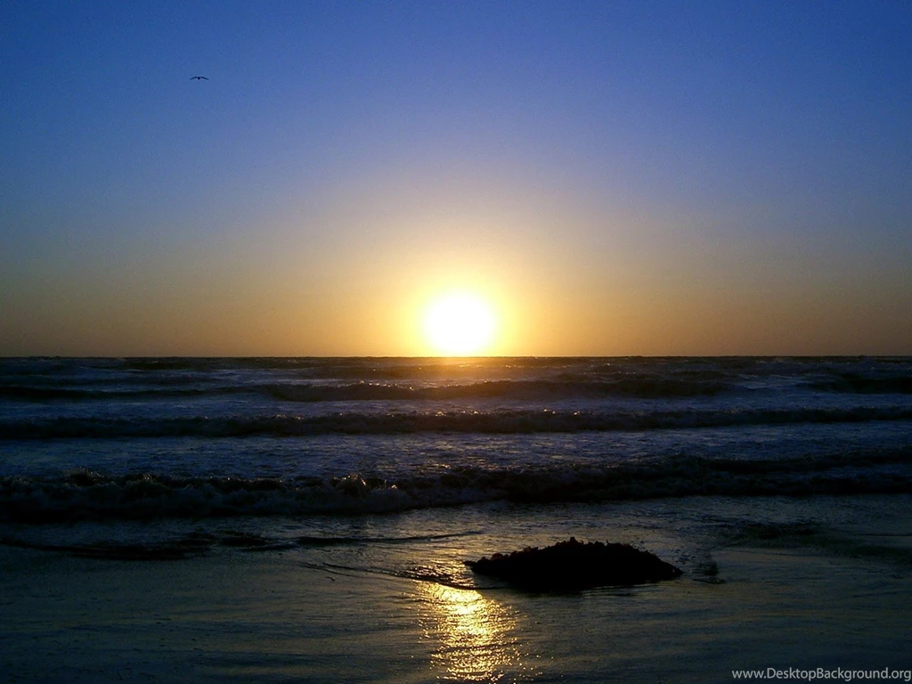 UCSD Beach Sunset Wallpapers