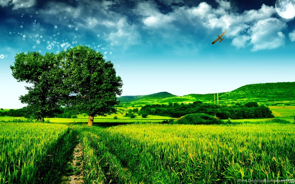 High Resolution Tree Green HD Wallpapers Full Size   SiWallpaperHD ...