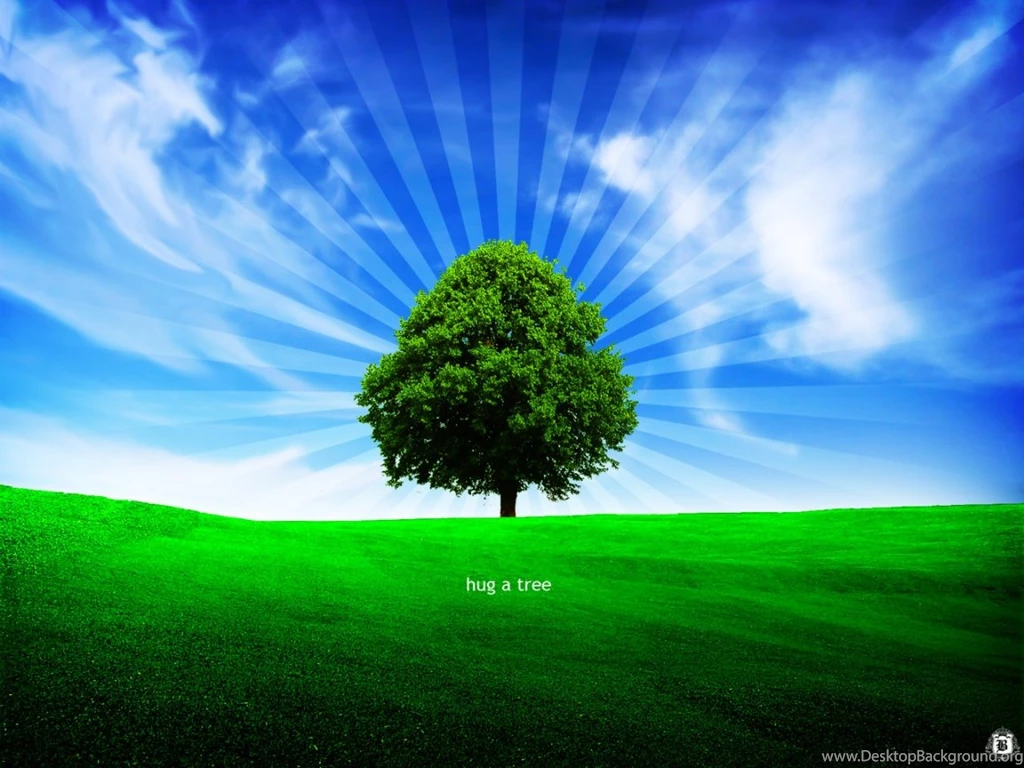 Wallpapers Money Tree 1152x864