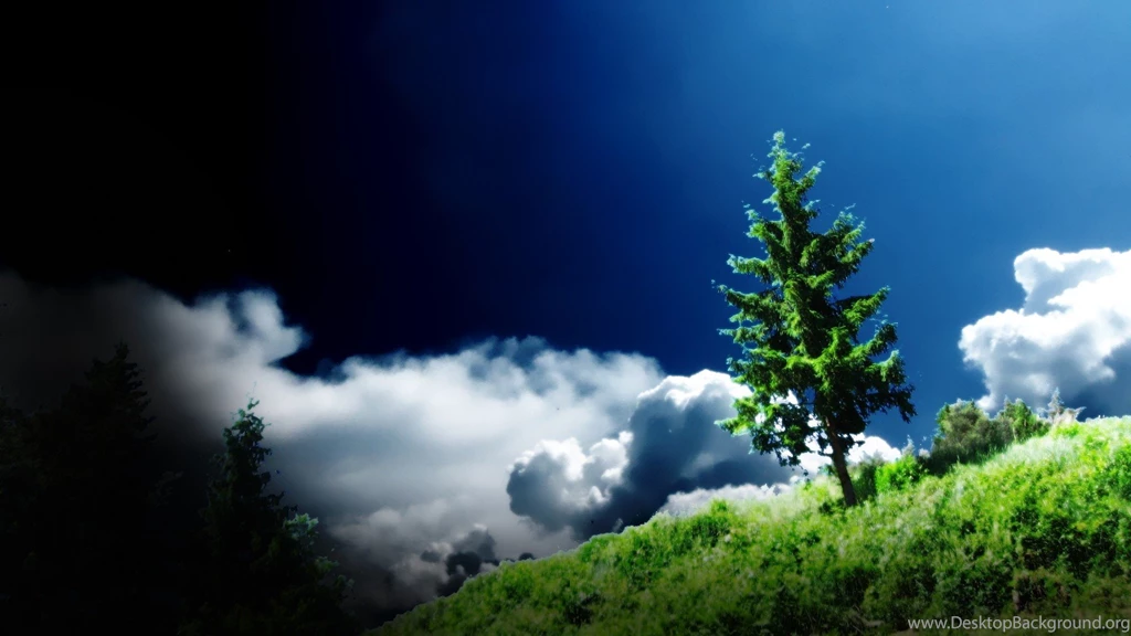 Beautiful Tree Wallpapers