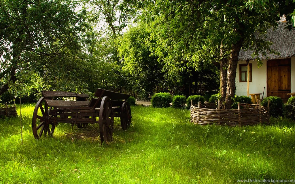 1920x1080px : Tree Wallpapers