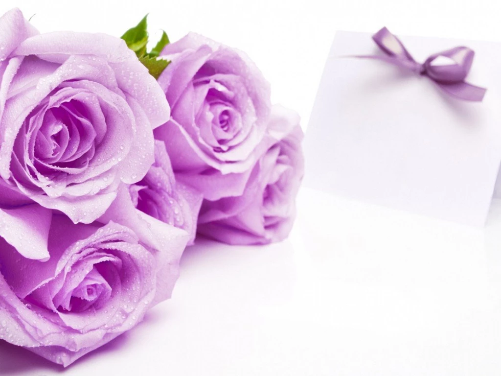 Wallpapers Letter N Purple Roses Nature Free 1152x864