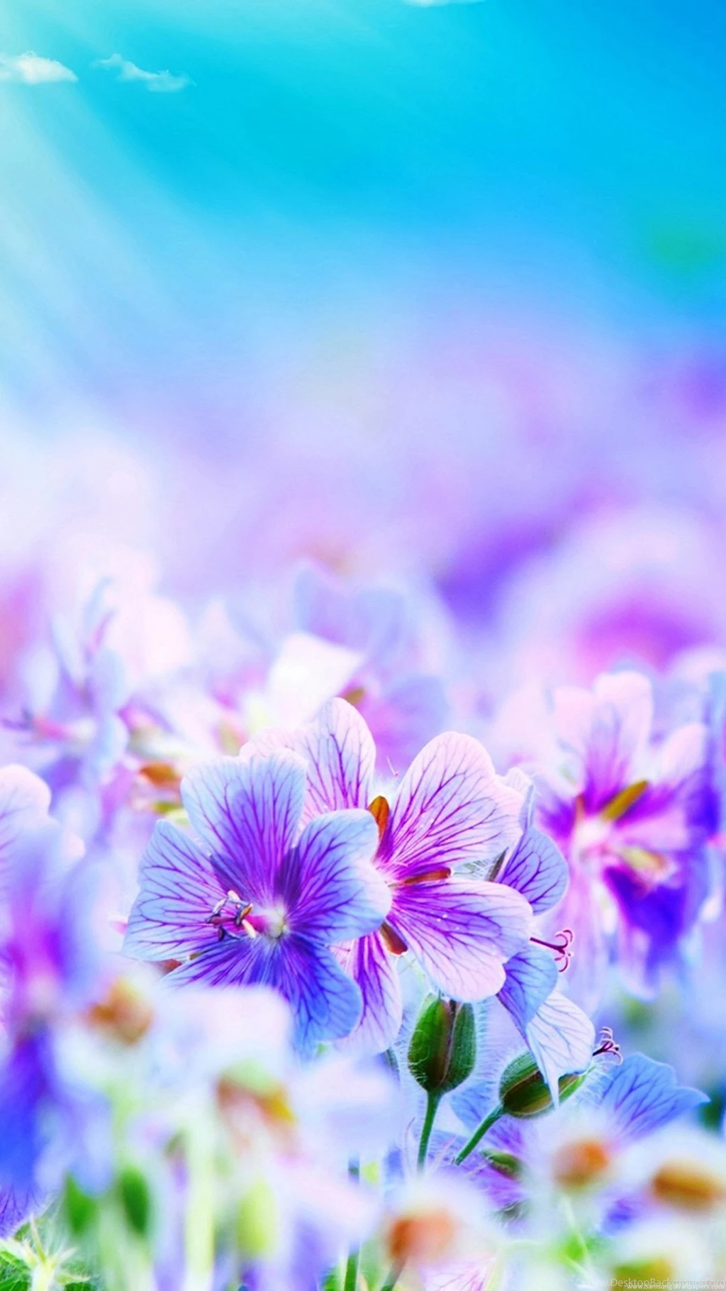 1080x1920 Samsung Wallpapers