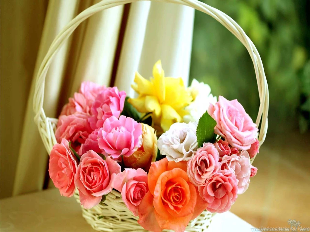 Totally Gorgeous Rose Wallpapers
