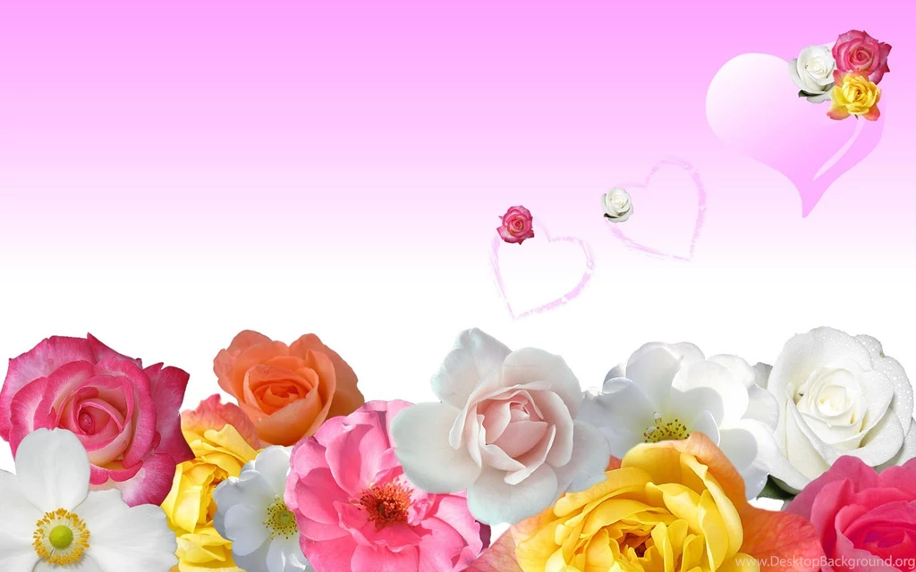Wallpapers Collection For Your Computer And Mobile Phones: New 20 ...