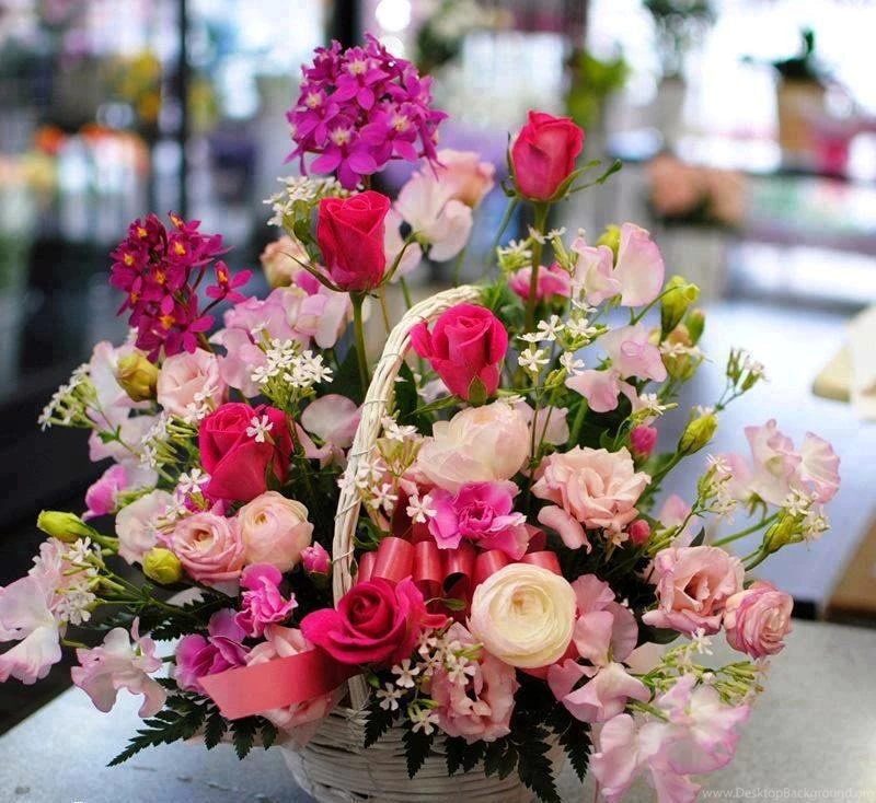 Blooming Flowers Images With High Resolution Image Wallpapers