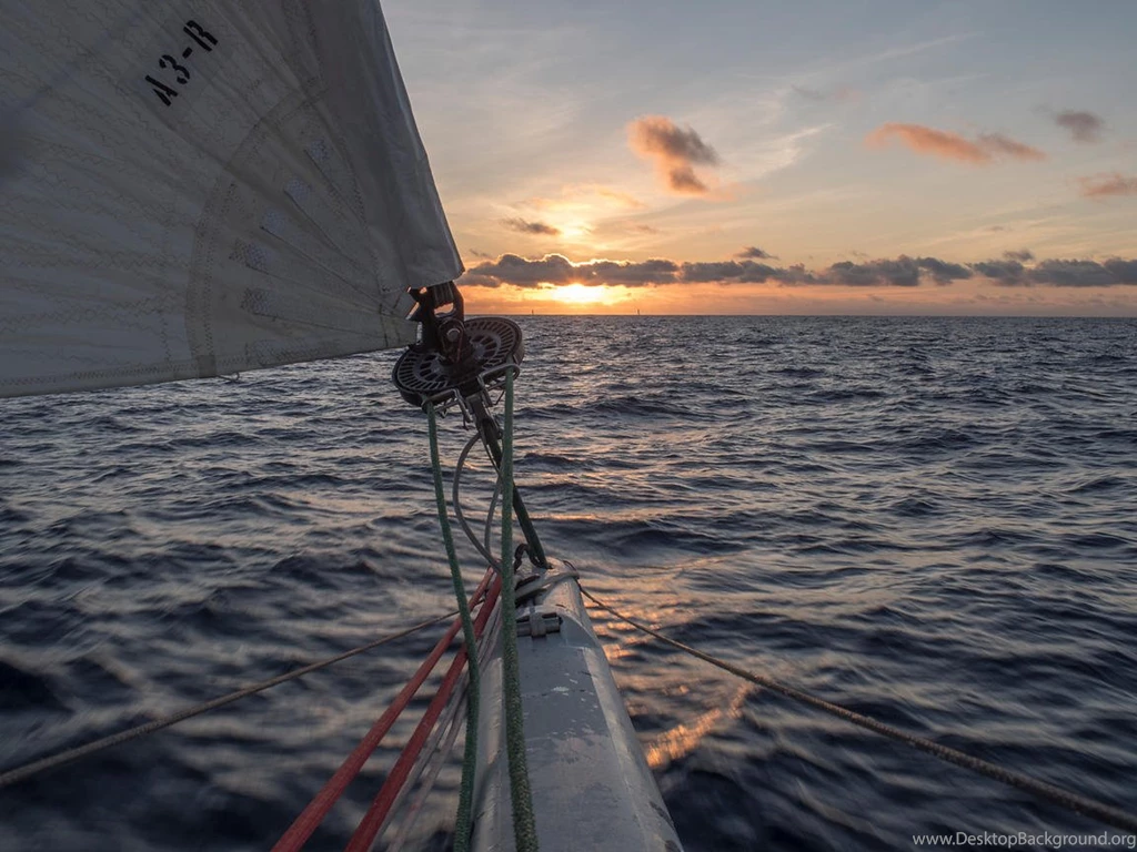 Team SCA Video & Images