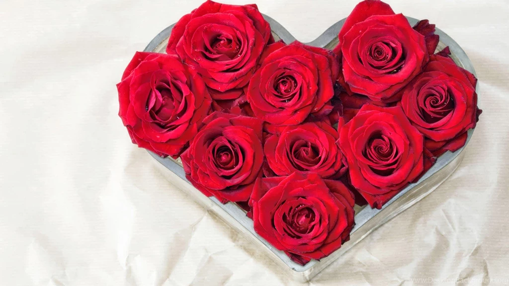 Rose Love Wallpapers