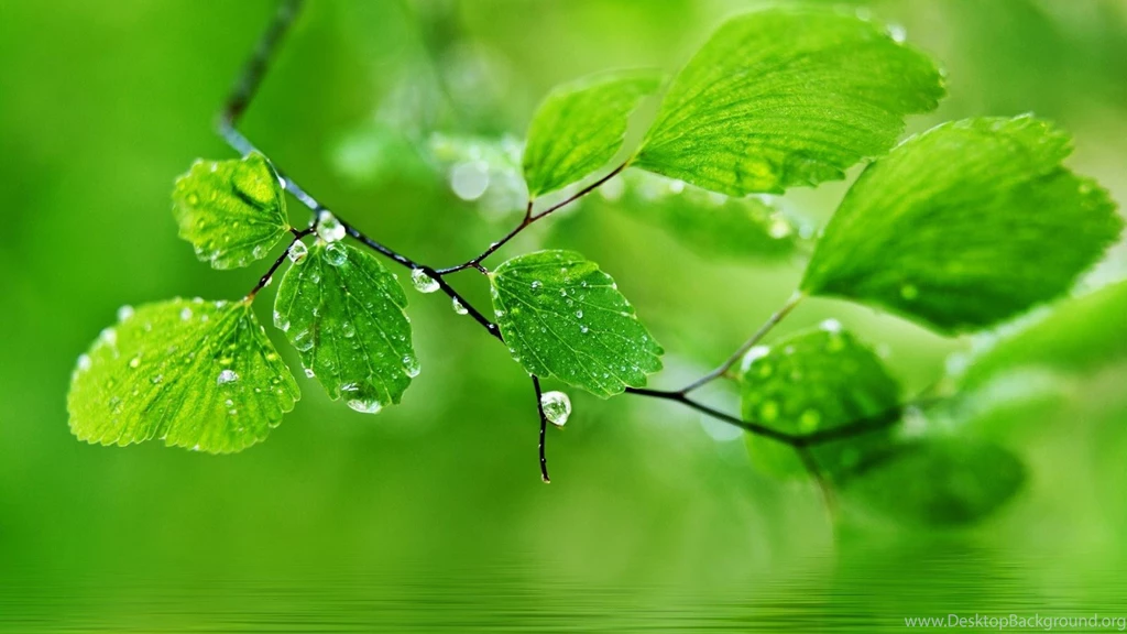 Desktop Wallpapers 4C0