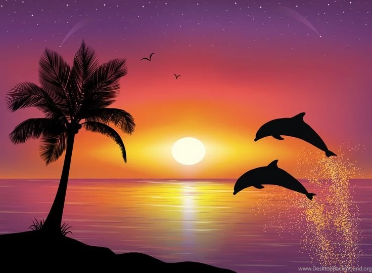 Dolphin Iphone Wallpapers