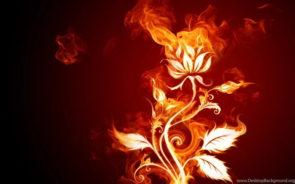 3D Fire Book Image   3D HD Wallpapers