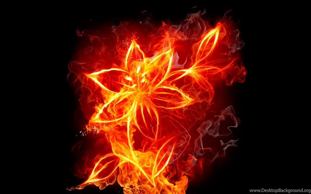 Fire Flower Computer Wallpapers, Desktop Backgrounds