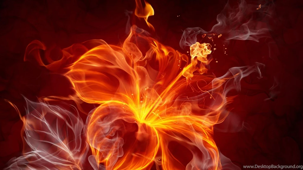 Fire Flowers Wallpapers HD
