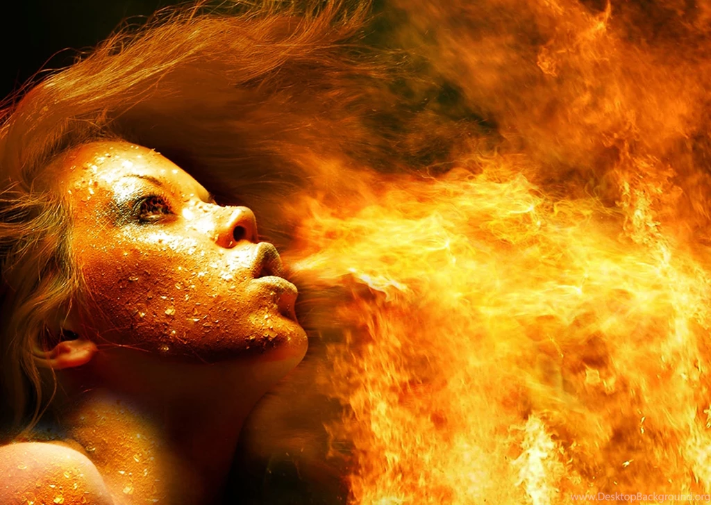 Fire Dragon Wallpapers 14772