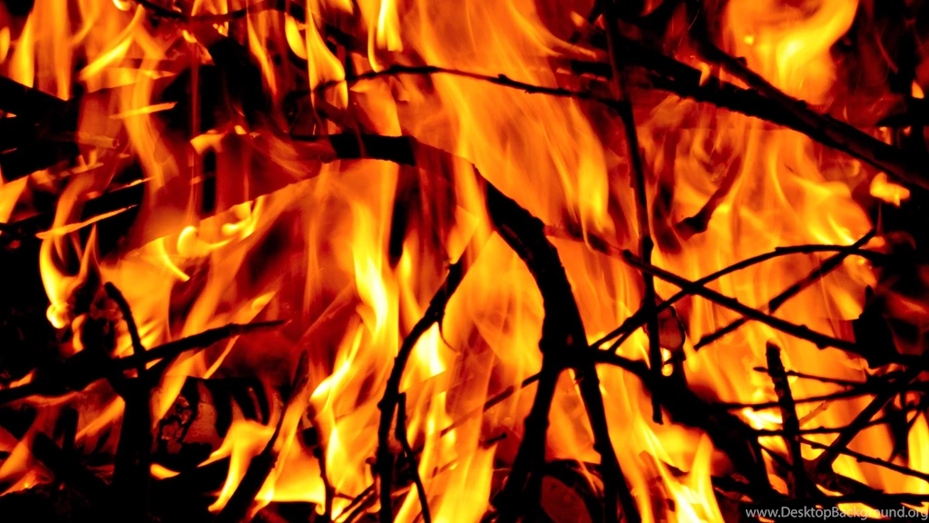 Forest Fire, Laptop, 1920x1080 HD Wallpapers And FREE Stock Photo