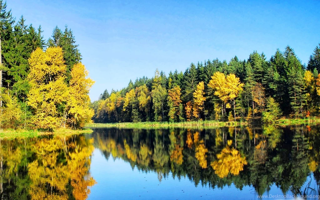 Full Hd Widescreen Nature Wallpapers