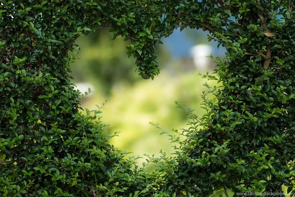 Romantic, Backgrounds Free Images On Pixabay