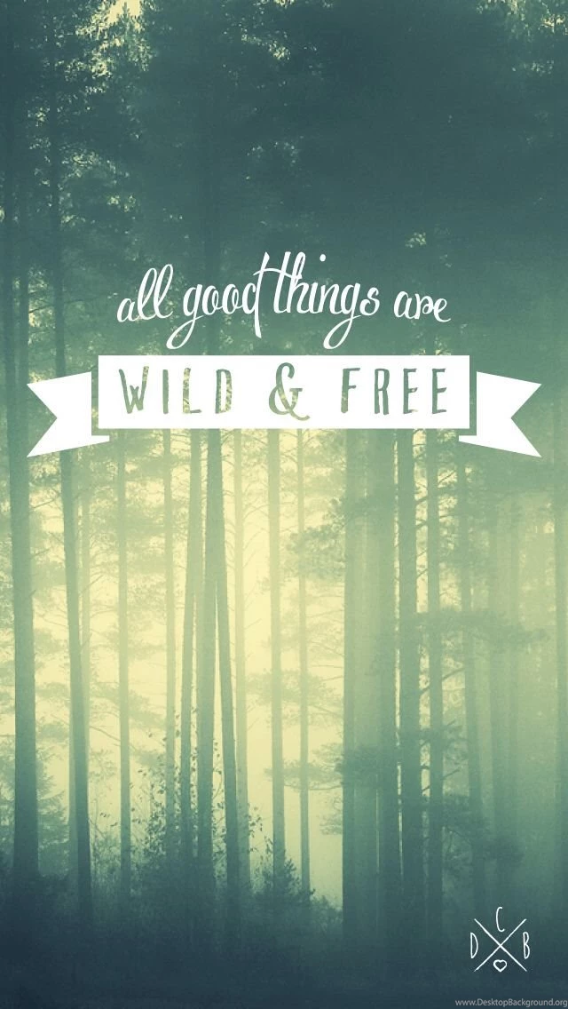 iPhone Backgrounds On Pinterest