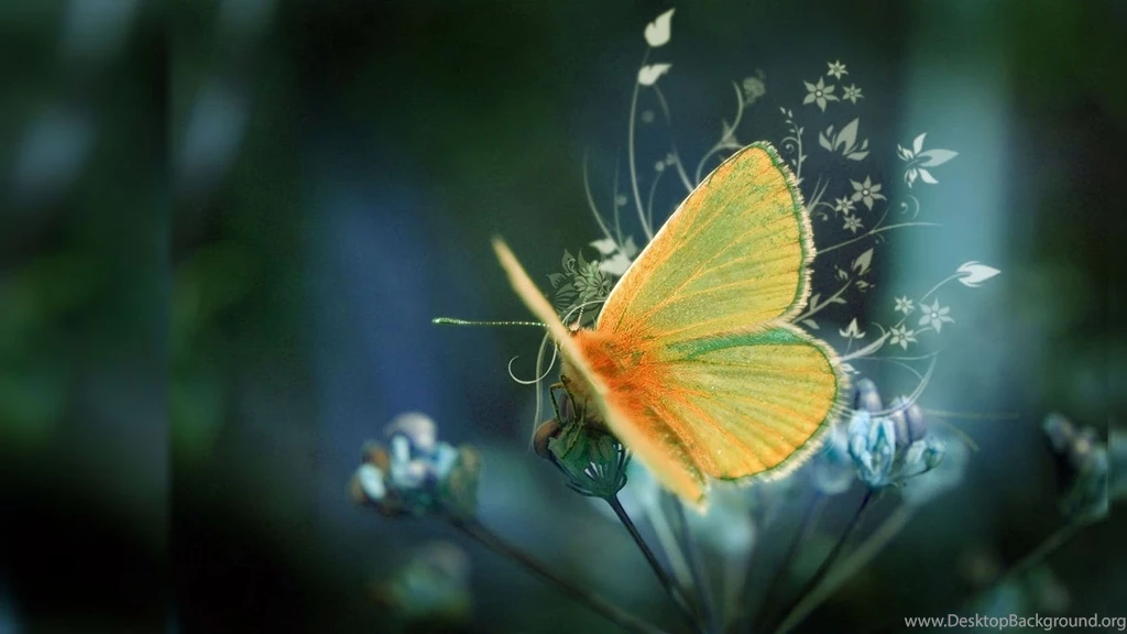 Best Of The Best Wallpapers Wallpapers Zone