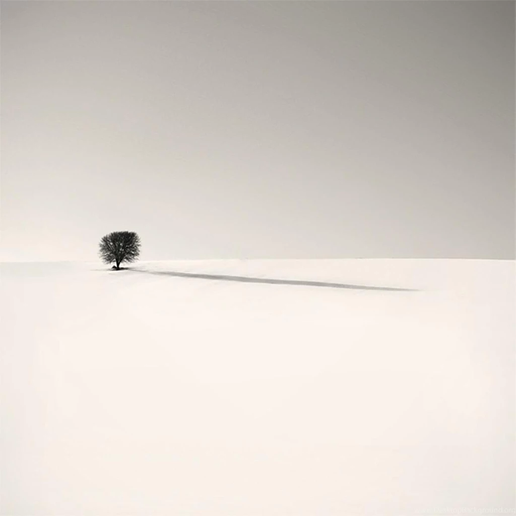 Category: Art Gallery Wallpapers ›› Page 0